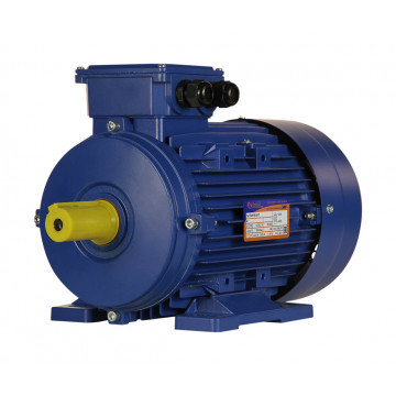 Электродвигатель с тормозом ESQ 5АИ 100 L6 2.2/1000-ED2-IP55-У2-IM1081