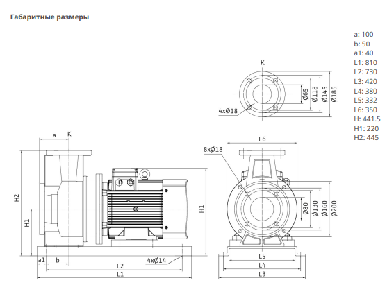 Насос Native BPG 65/200-18,5/2-ST-H12