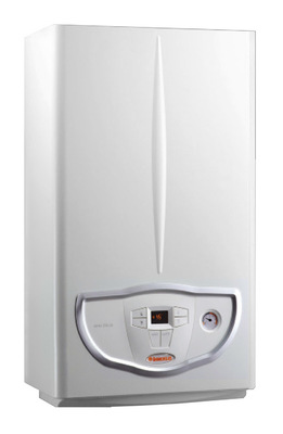 Газовый настенный котёл Immergas MINI NIKE X 24 3 E