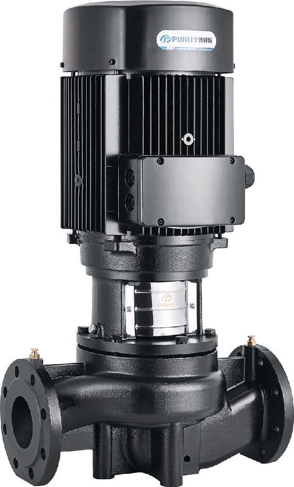 Насос Purity PTD200-12.5/4