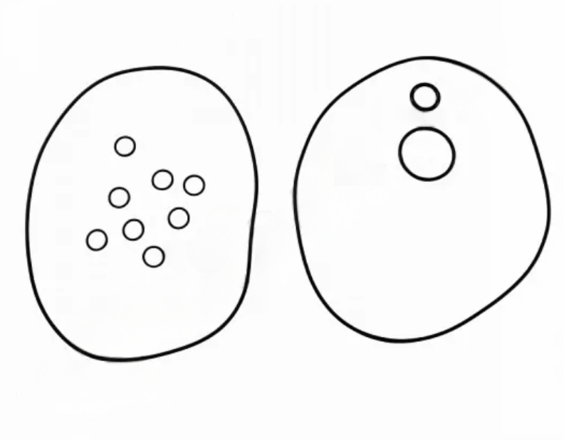 Комплект уплотнительное кольцо Grundfos Kit O-ring CR95 EPDM D22 - 99262378