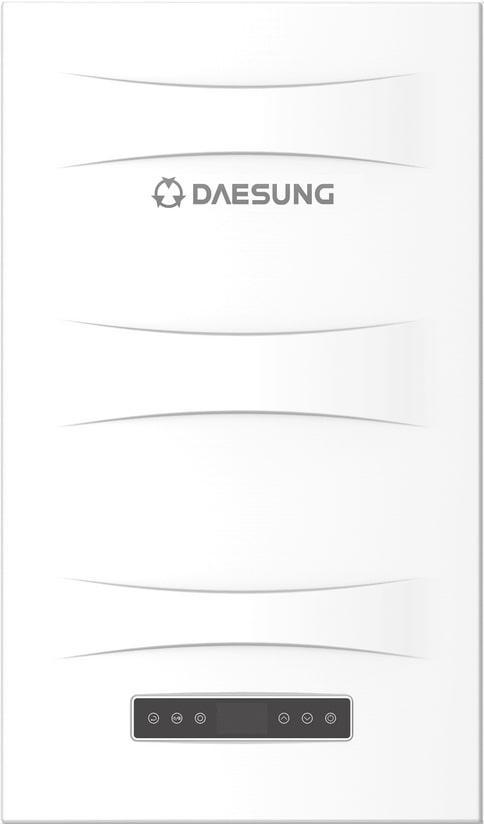 Котел газовый настенный Daesung CLASS E 20