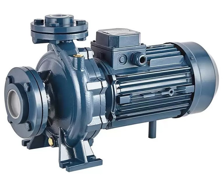Насос моноблочный фланцевый PURITY PSTC 50-125/40 (N)