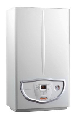 Газовый настенный котёл Immergas MINI NIKE 24 3 E
