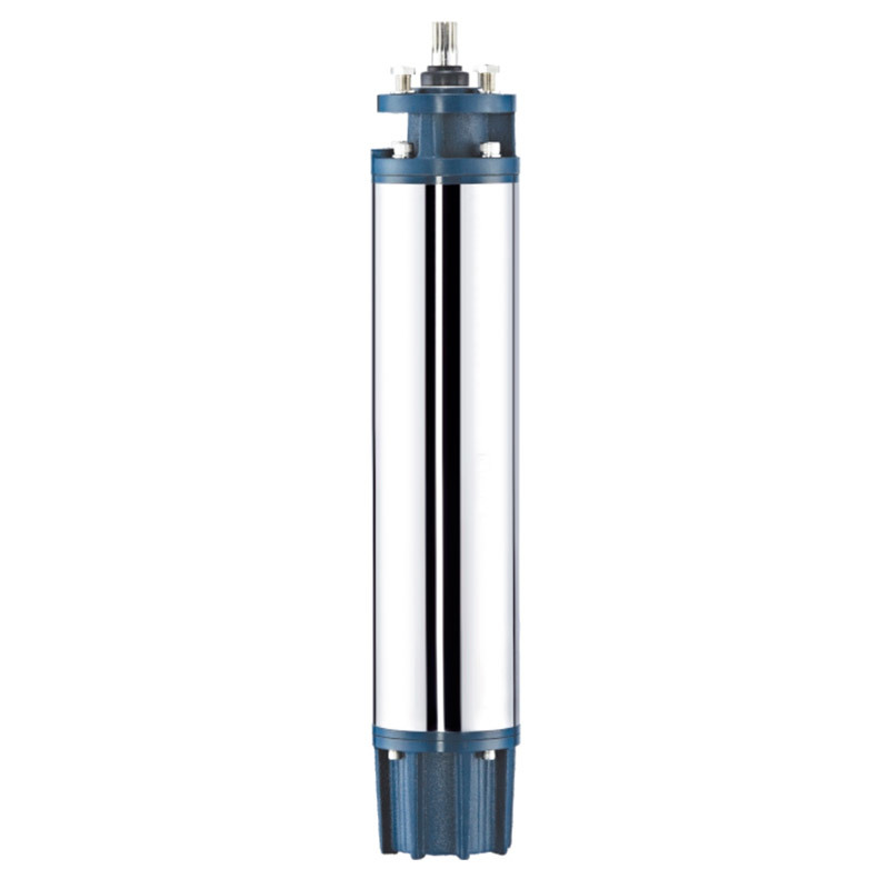 Электродвигатель 6" WATERSTRY CEM, типа DOL, 22kW, 30HP, 380~415V (6CF7485D)