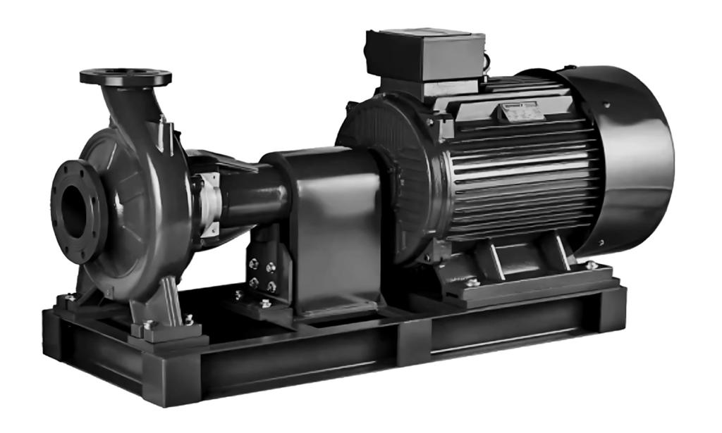Консольный насос Wellmix NKW 100-80-160-1,5/4-380-G-BQQE
